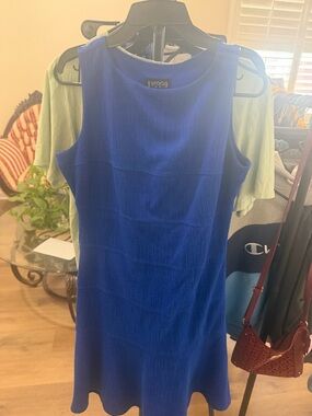 Enfocus Studio Royal Blue Sleeveless A-Line Dress
